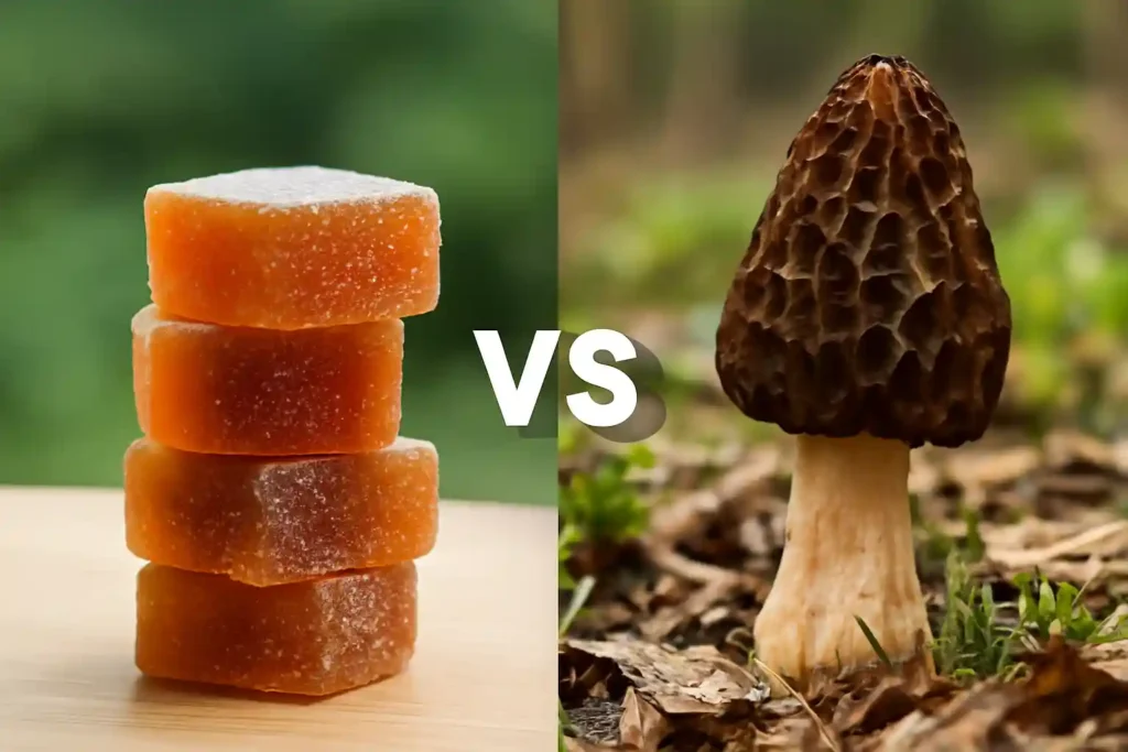 Comparison of Mushroom Gummies and Morel Mushroom, highlighting the difference between Mushroom Gummies vs Morel Mushroom for Brain Function, illustrating how these options benefit cognitive performance and brain health.