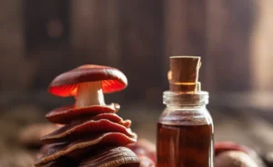 A close-up of a bottle of reishi mushroom tincture next to fresh reishi mushrooms on a wooden table in soft natural light.