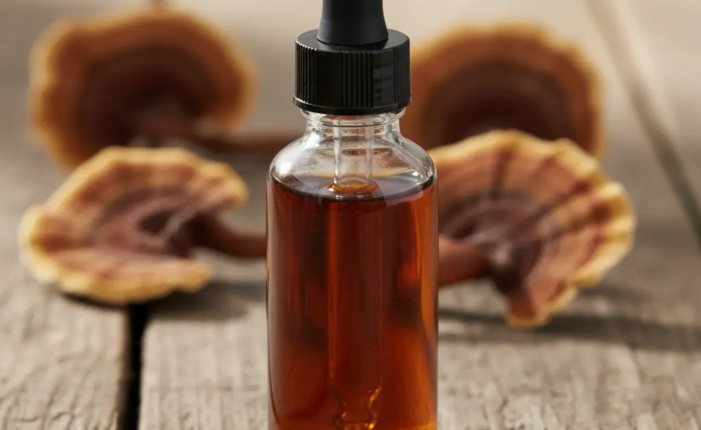 A close-up shot showcasing the rich, earthy texture of turkey tail mushroom extract for humans in a glass dropper bottle, bathed in soft, natural light.