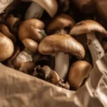 A brown paper bag filled with fresh, whole mushrooms rests inside a refrigerator crisper drawer.