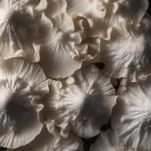 Delicate white, gelatinous fungus clustered together, resembling small, ruffled snowflakes.
