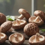 A serene close-up shot highlighting the natural beauty and intricacy of shiitake mushrooms, emphasizing the shiitake mushroom benefits for skin.
