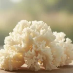A close-up, photorealistic shot showcasing the delicate, ethereal beauty of the tremella mushroom.