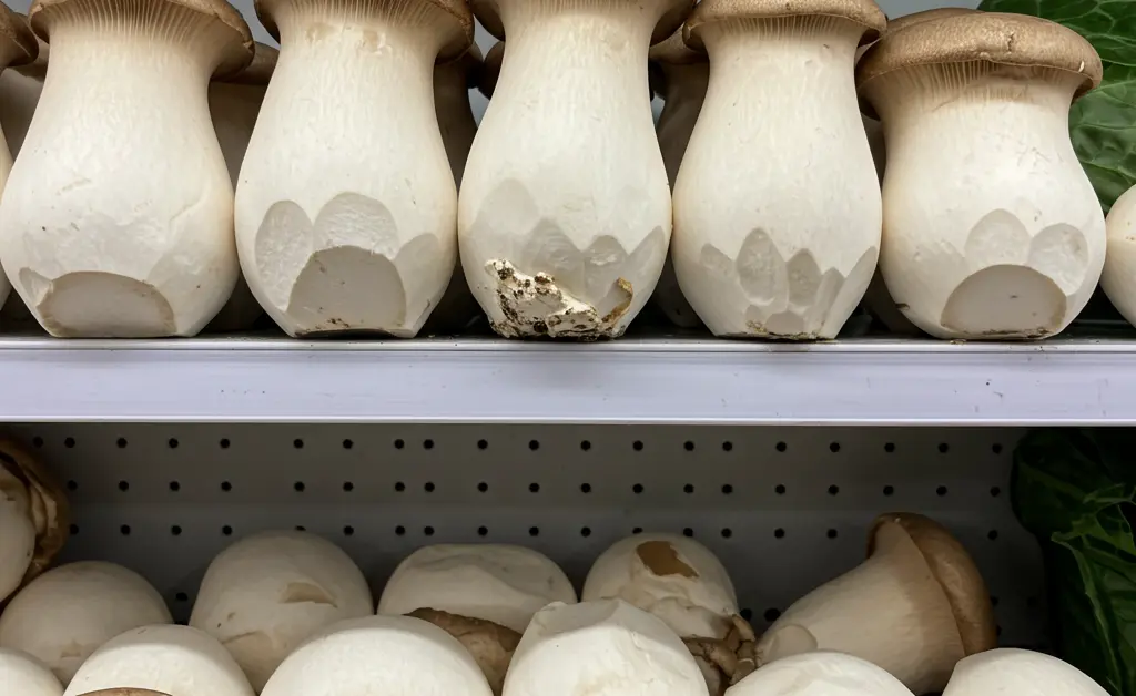 A well-stocked, brightly lit produce section of a modern grocery store features an attractive king oyster mushroom supermarket display for shoppers.