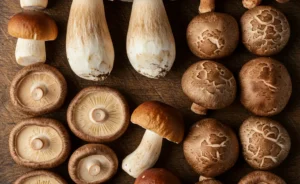 This detailed culinary photograph showcases the visual differences between porcini mushroom vs shiitake arranged on a rustic wooden surface.