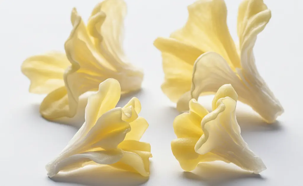 A beautiful, detailed close-up of fresh, translucent tremella mushrooms, embodying the quality expected from tremella mushroom uk suppliers.