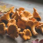 A beautifully arranged spread of fresh chanterelle mushrooms malaysia on a rustic wooden board, ready for culinary preparation.