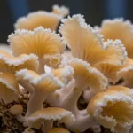 A close-up shot details the intricate process of how to grow tremella mushroom on a specially prepared log substrate in a humid cultivation chamber.