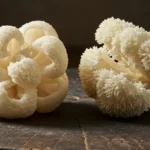 An editorial photograph beautifully contrasts the distinct appearances of tremella mushroom vs lion's mane, displayed side-by-side on a rustic, dark wooden surface under soft, natural light.